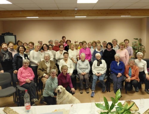 5040404696223660498 (002)