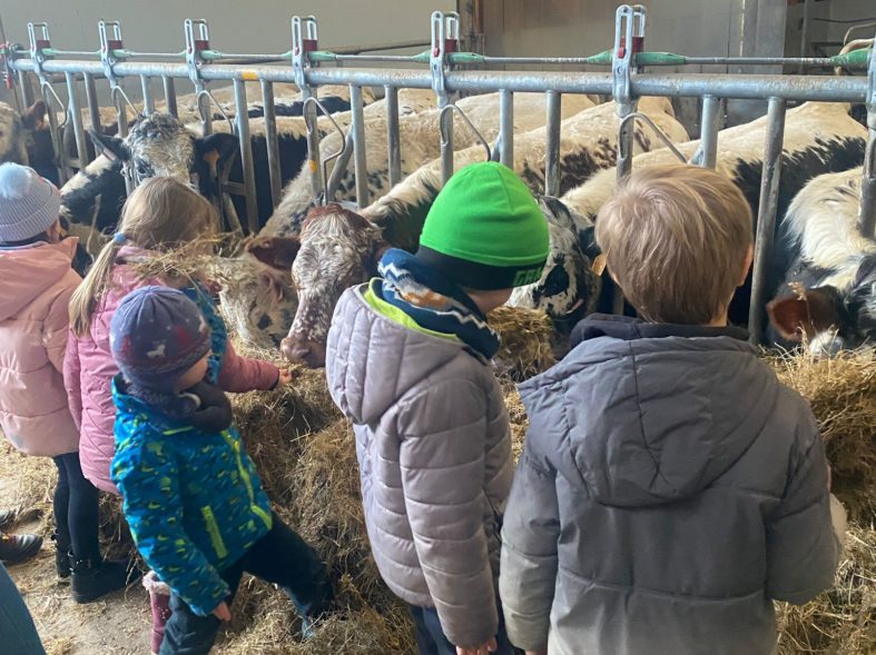 IMG-20260206-WA0013 (002)